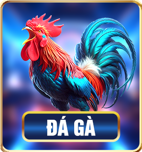 icon đá gà